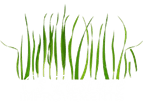 CS Pasture Improvement logo