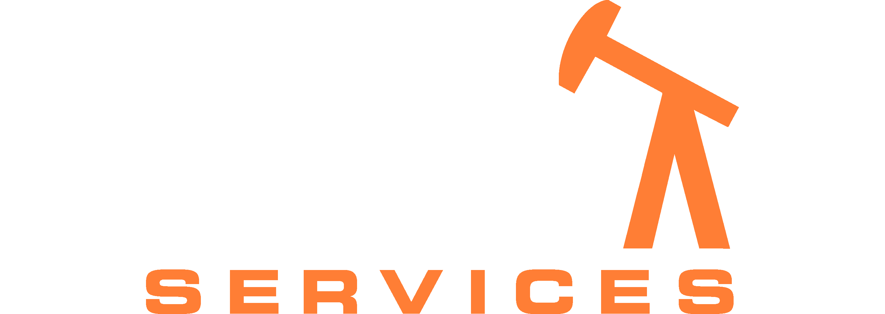Devonian Services logo