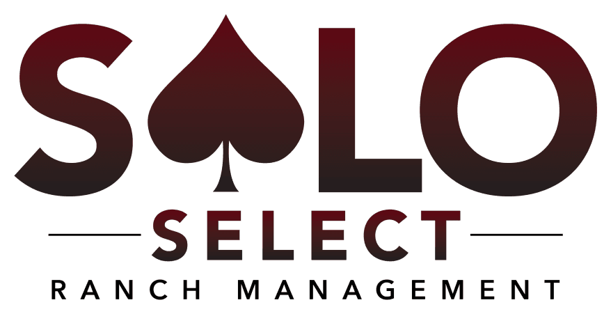Solo Select Materials & Excavation logo