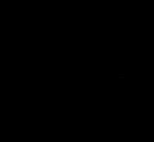 DIRTROCK DALLAS logo