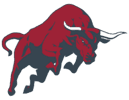 Bulliner Enterprises logo