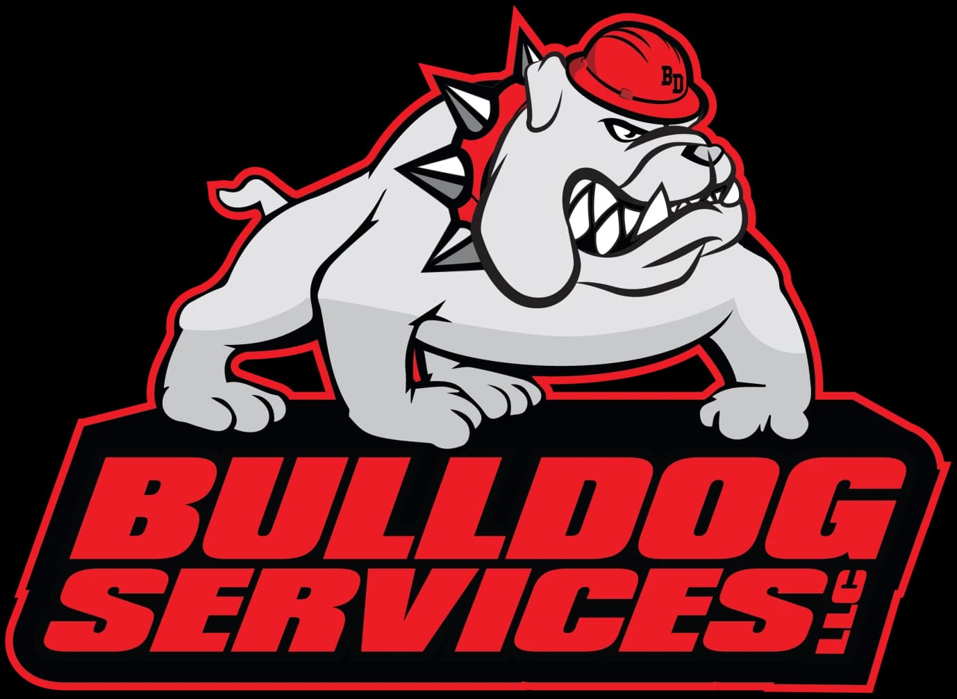 BULLDOG SERVICES, LLC logo