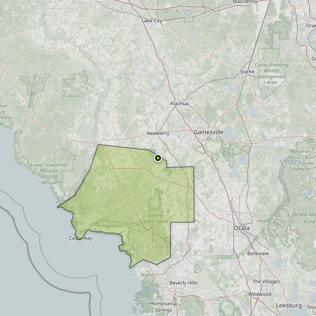 Map showing Levy County around East Bronson, FL