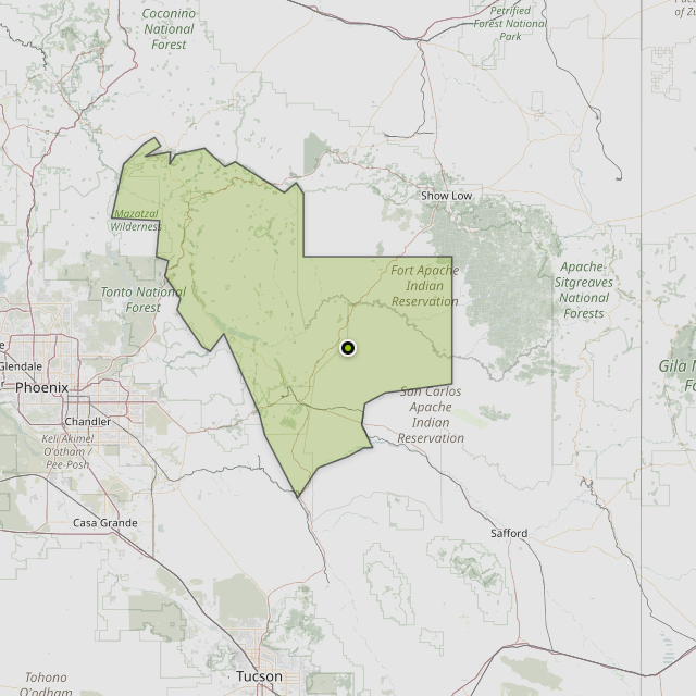 Map showing Gila County around San Carlos, AZ
